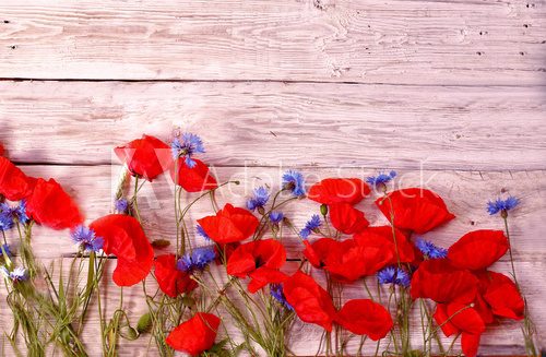 Fototapeta Poppies and cornflowers on white wooden background