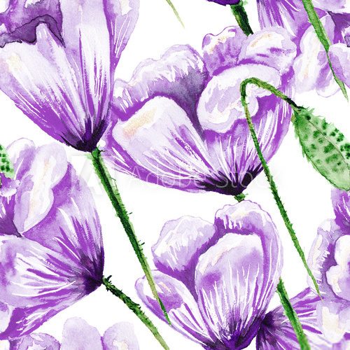 Fototapeta Purple poppy watercolor pattern