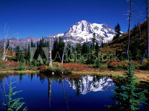 Fototapeta rainier west