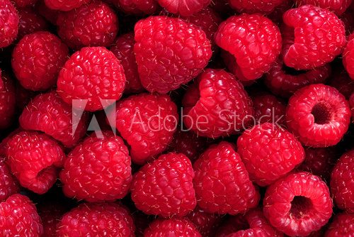 Fototapeta raspberry background