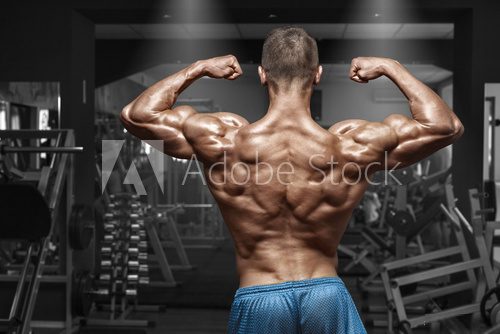 Fototapeta Rear view muscular man posing in gym, showing back and biceps. Strong male naked torso, working out
