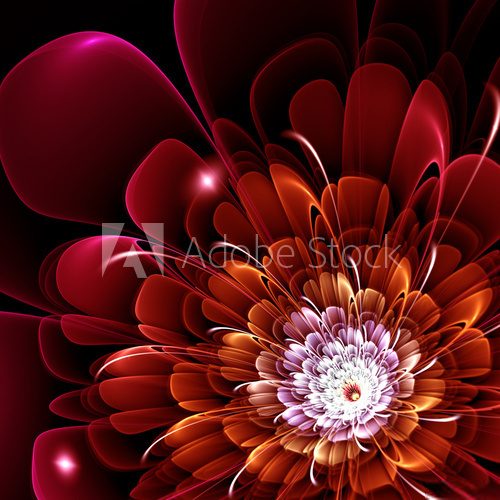 Fototapeta red fractal flower