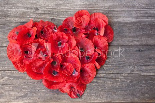 Fototapeta Red heart of petals