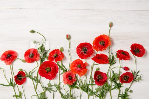 Fototapeta red poppies  on white wooden table