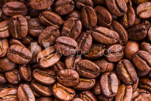 Fototapeta roasted brown coffee beans