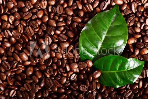 Fototapeta Roasted coffe beans