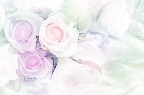 Fototapeta Rose Bouquet with Soft Focus Color Filtered as Background.