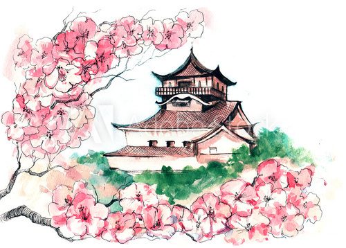 Fototapeta sakura