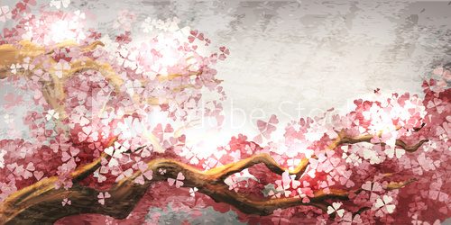 Fototapeta Sakura branch blooming