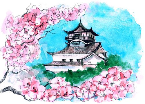Fototapeta sakura