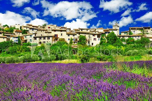 Fototapeta scenery of Provence - view of Saignon village and lavander field