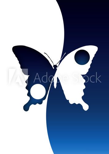 Fototapeta Schmetterling / Butterfly Yin Yang