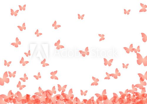 Fototapeta Schmetterlinge