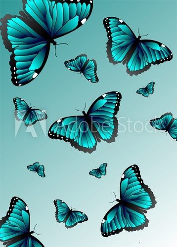 Fototapeta Schmetterlinge