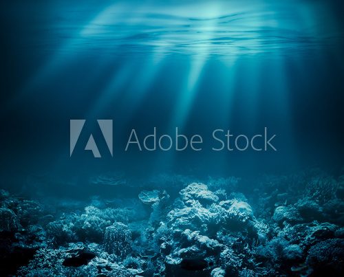 Fototapeta Sea deep or ocean underwater with coral reef as a background for