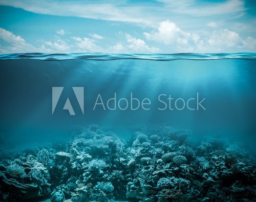 Fototapeta Sea or ocean underwater deep nature background