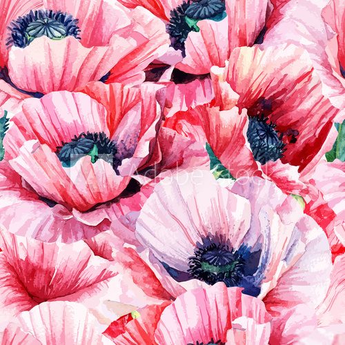 Fototapeta Seamless pattern of vector watercolor pink poppies.