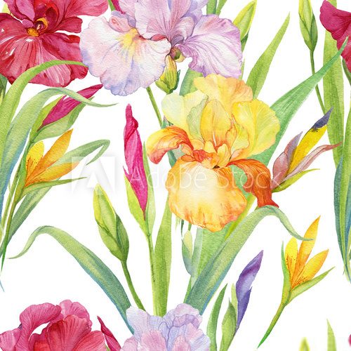 Fototapeta seamless patterns for fabric and Wallpaper ,flowers illustration watercolor iris