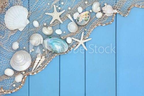 Fototapeta Seashell Collage