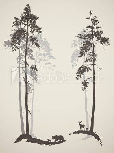Fototapeta silhouette of a pine forest with deer and bears