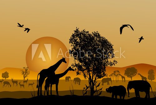 Fototapeta Silhouette of safari animal wildlife