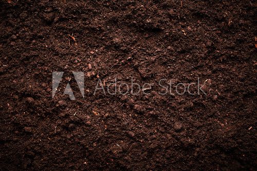 Fototapeta Soil
