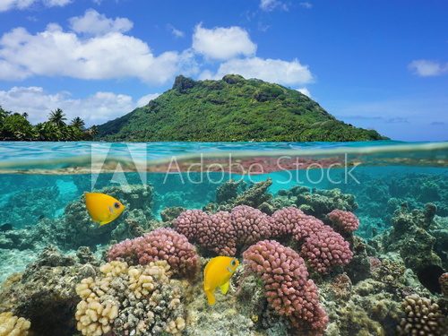Fototapeta Split image above and below water surface, landscape of Huahine island with coral and tropical fish underwater, Pacific ocean, French Polynesia