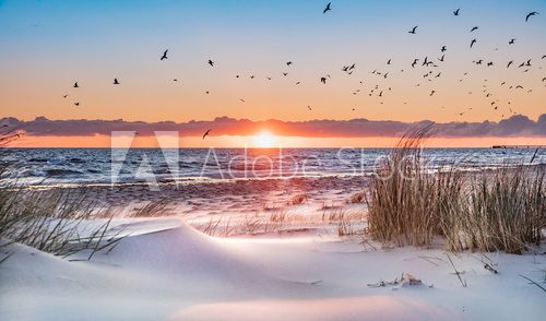 Fototapeta Spokojny zachód słońca nad piaszczystą plażą