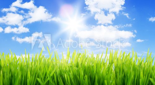 Fototapeta Spring time scape