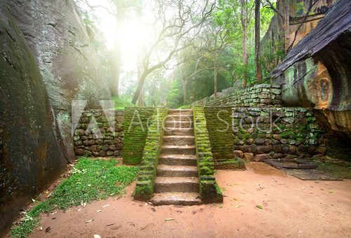Fototapeta Staircase on Sigiriya