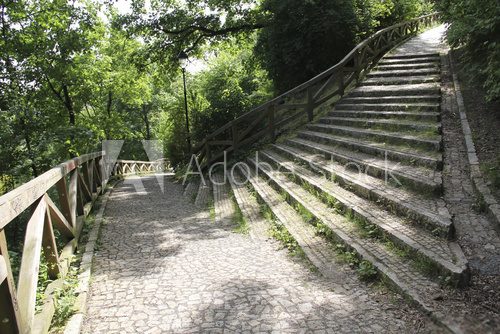 Fototapeta Stairs in the park