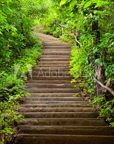 Fototapeta Stairway to forest