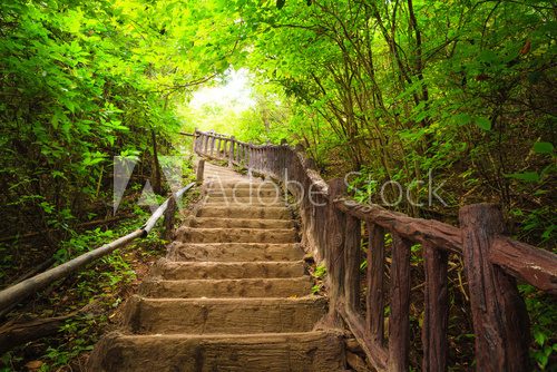 Fototapeta Stairway to forest, Kanchanburi,Thailand