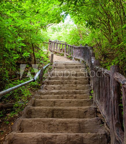 Fototapeta Stairway to forest
