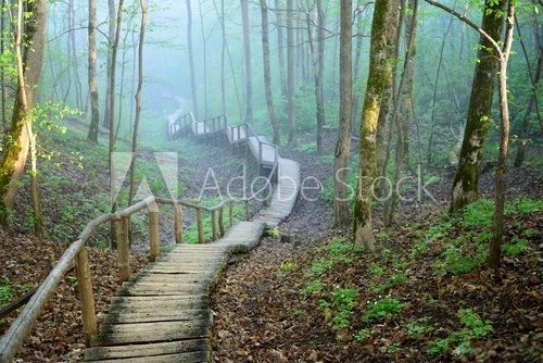 Fototapeta staiway in forest disappearing in strong fog