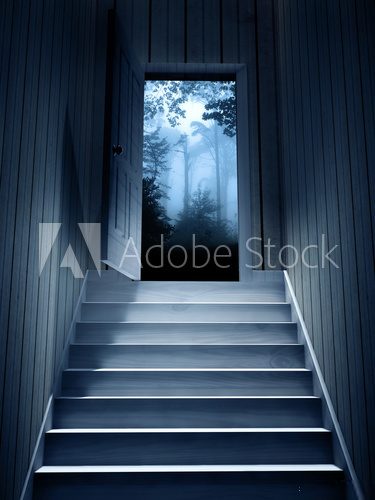 Fototapeta Steps leading from a dark basement to open the door