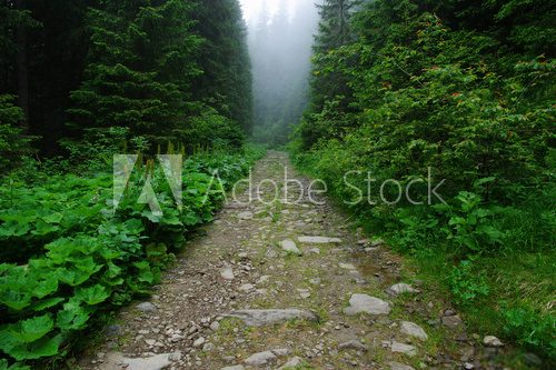 Fototapeta stone road in the mountains