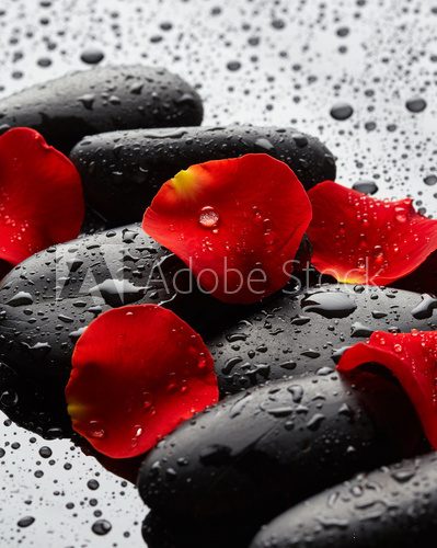 Fototapeta Stones with rose petals