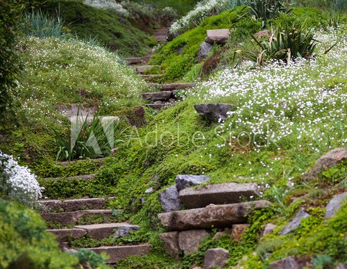 Fototapeta Stony stairs in the green garden