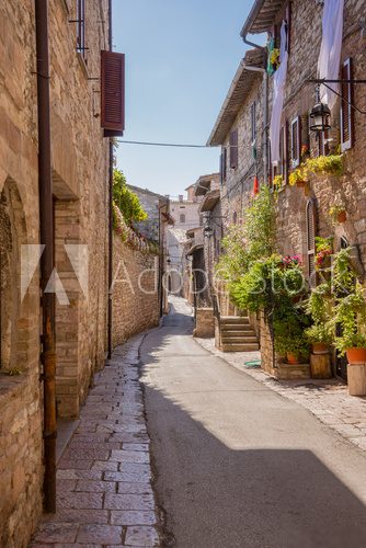Fototapeta Strada con fiori, Assisi