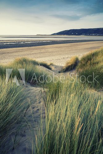 Fototapeta Summer evening landscape view over grassy sand dunes on beach wi
