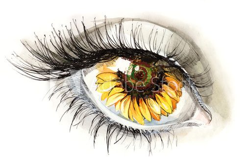 Fototapeta sunflower eye