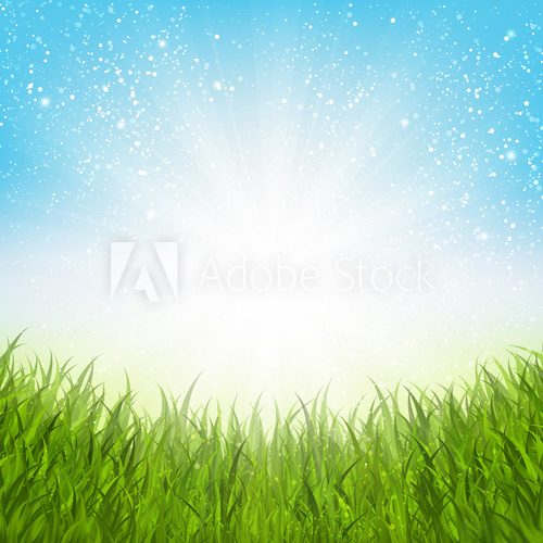Fototapeta Sunny summer meadow for Your design 