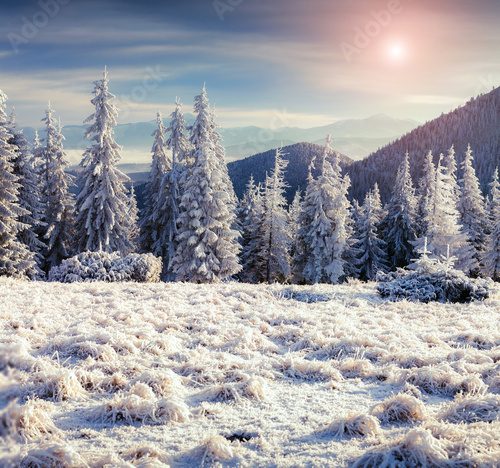 Fototapeta Sunny winter morning in the mountain valley