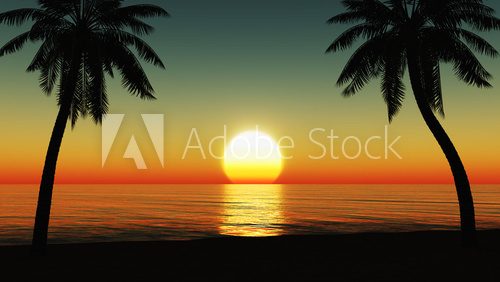 Fototapeta Sunset at the tropical beach with coconut palm trees silhouette