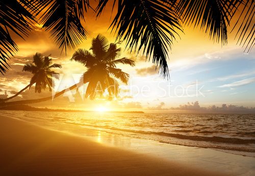 Fototapeta sunset on the beach of caribbean sea