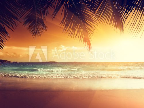 Fototapeta sunset on the beach of caribbean sea