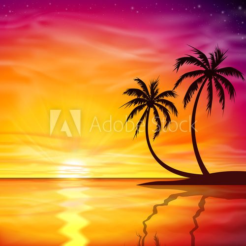 Fototapeta Sunset, Sunrise with Palm Trees