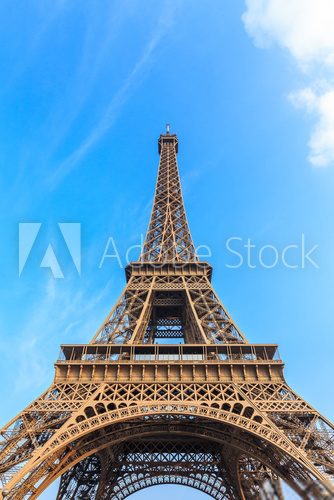 Fototapeta The Eiffel Tower in Paris