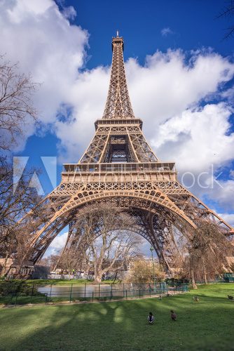 Fototapeta The Eiffel tower, Paris France